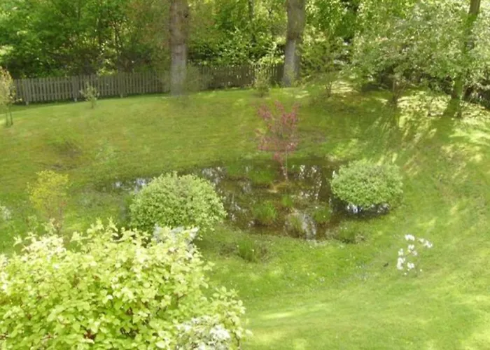 Hoern17/2 شاربوتس